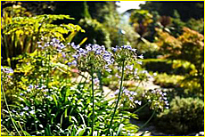 Cornwall Tourism Magazine - Meudon Hotel Garden - small